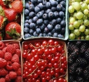Essential food smell